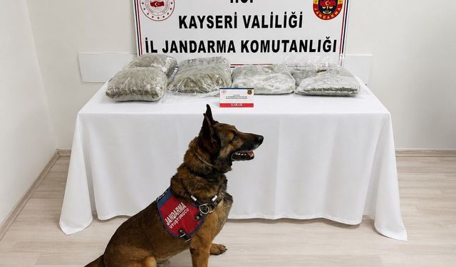 Güncel