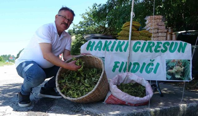 Güncel