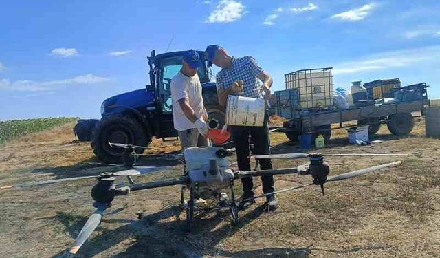 Edirne'de üreticiler tarlasını dronla ilaçlıyor, güneş enerjisiyle suluyor