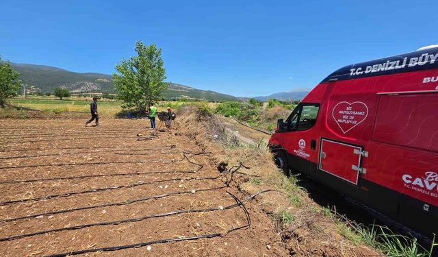 Denizli Büyükşehir tarlalara soğuk su ve limonata ulaştırdı