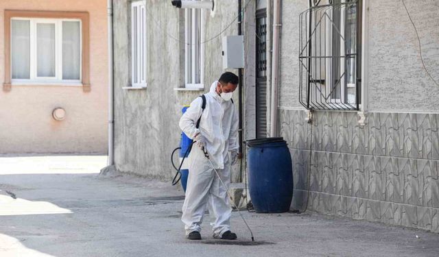 Osmangazi Belediyesi'nden haşereye karşı anında müdahale