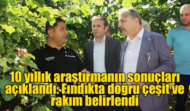10 yıllık araştırmanın sonuçları açıklandı: Fındıkta doğru çeşit ve rakım belirlendi