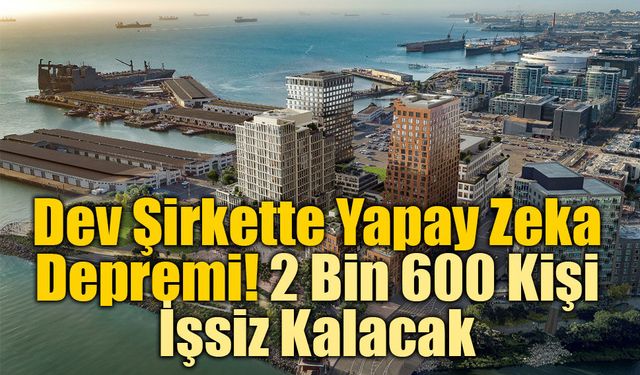 Ödeme Devinde Büyük Şok: Visa 2 Bin 600 Çalışanını İşten Çıkartıyor!