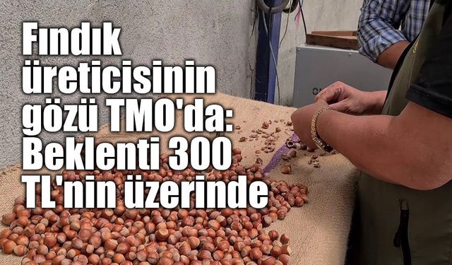 Fındık üreticisinin gözü TMO'da: Beklenti 300 TL'nin üzerinde