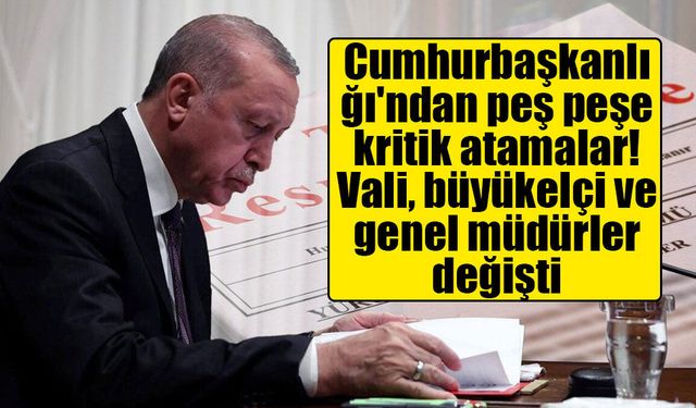 Cumhurbaşkanlığı'ndan kritik atamalar: Vali değişti, büyükelçi ve üst düzey bürokratlar görevlendirildi