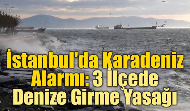 İstanbul'da Karadeniz Alarmı: 3 İlçede Denize Girme Yasağı