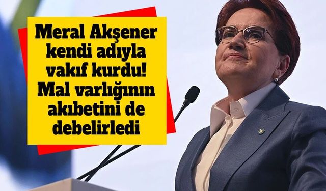 Akşener'in sessiz hazırlığı ortaya çıktı: 5 milyon TL sermayeli vakıf kuruldu