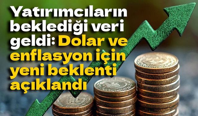 Merkez Bankası anketi: Yıl sonu enflasyon ve dolar beklentisi yukarı yönlü güncellendi
