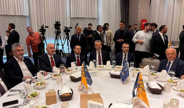 Politika