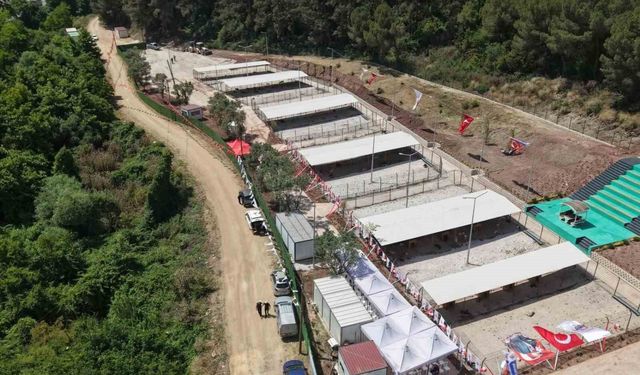 Bursa Hayvan Hakları Platformu'ndan Gemlik Belediyesi'ne tepki: 'Kapıları açın'