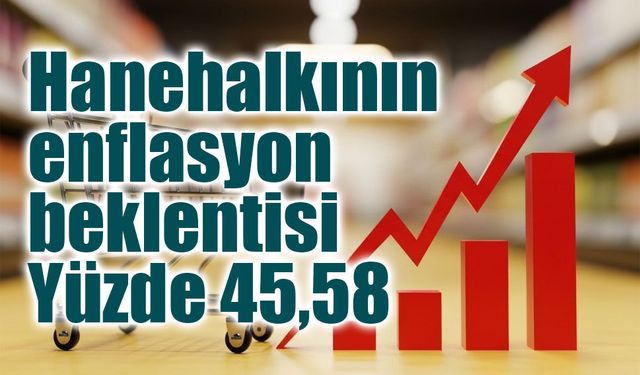 Hanehalkının enflasyon beklentisi yükseldi: Yüzde 45,58’e çıktı