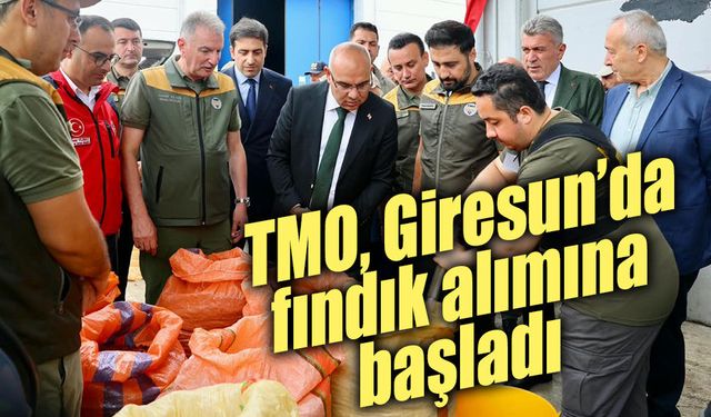 TMO, Giresun’da fındık alımına başladı