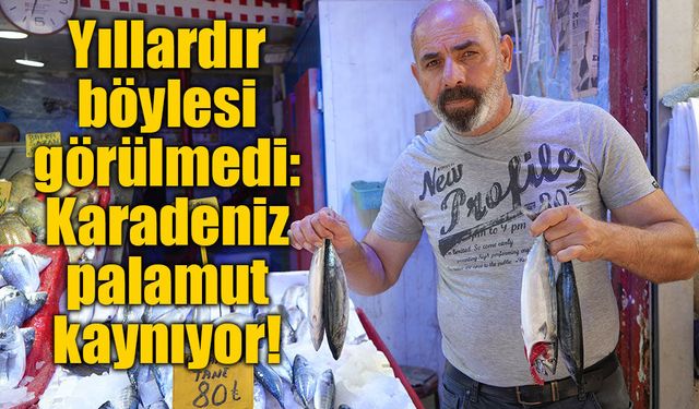 Yıllardır böylesi görülmedi: Karadeniz'den palamut fışkırıyor