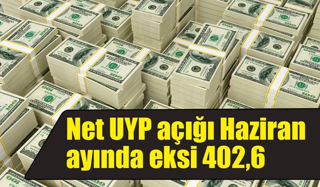 Net UYP açığı Haziran ayında eksi 402,6 milyar dolar oldu