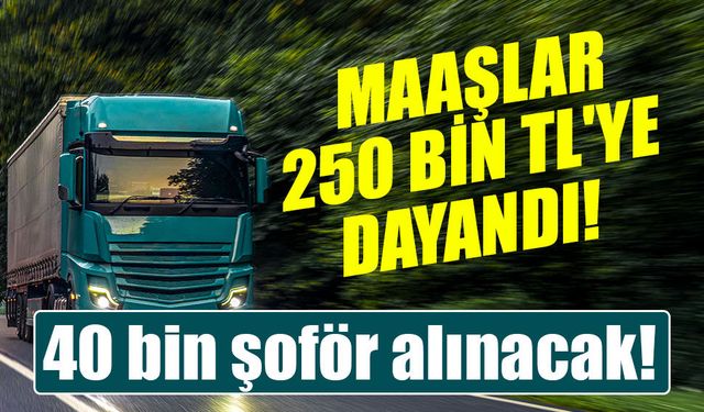 Almanya'da TIR şoförü açığı büyüyor: 40 bin kişilik alım için yeni süreç