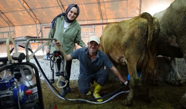 16 yıldır dijital pazarlamacıydı, şimdi süt sağıp tereyağı yapıyor