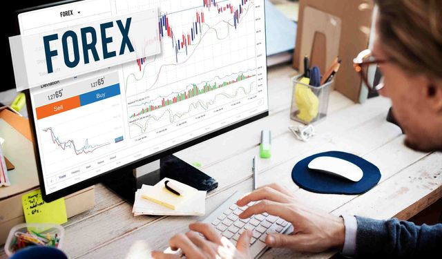 Güvenilir Forex Şirketleri