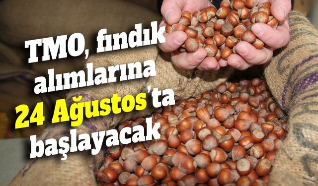 TMO, fındık alımlarına 24 Ağustos’ta başlayacak
