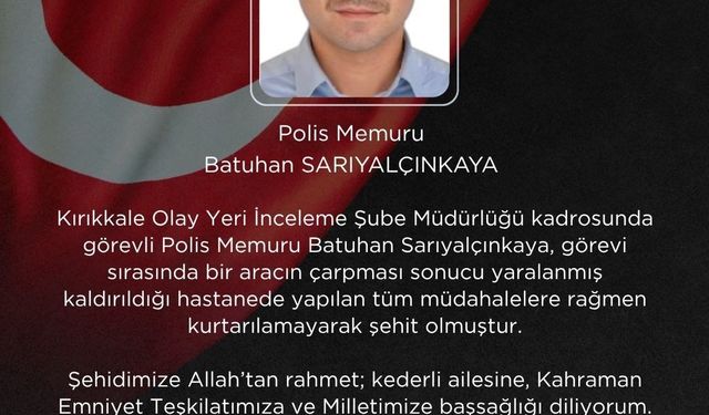 Politika