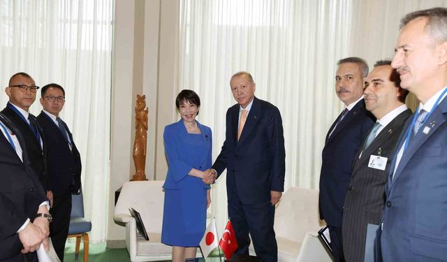 Politika