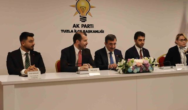 Politika