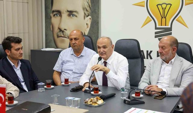 Politika