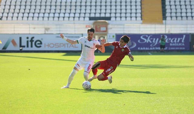Spor
