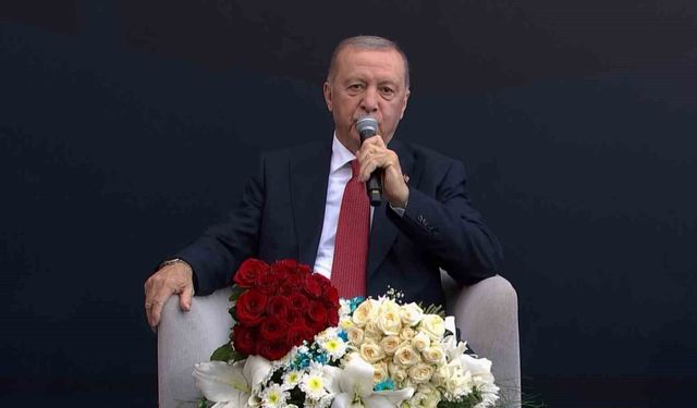 Politika