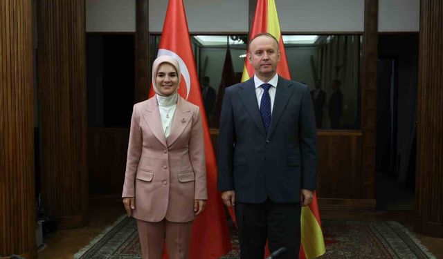 Politika