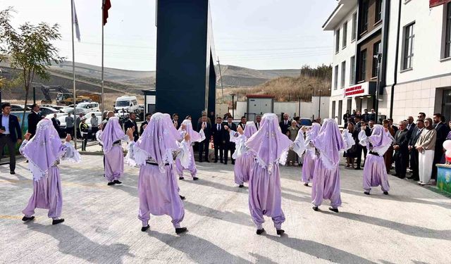 Politika