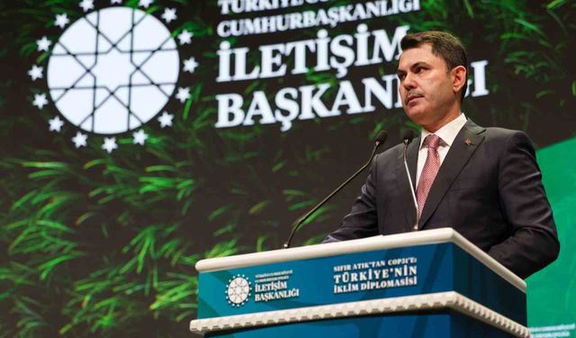 Politika