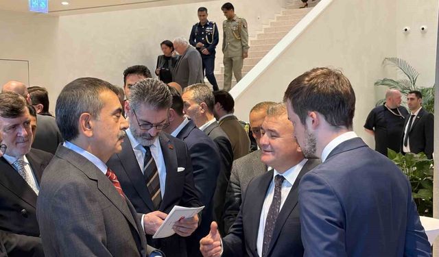 Politika