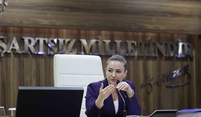 Politika