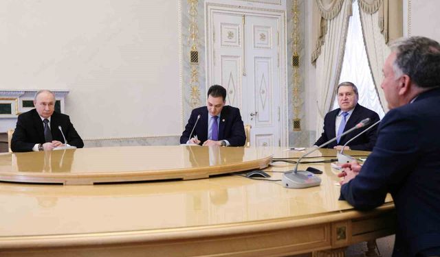 Politika