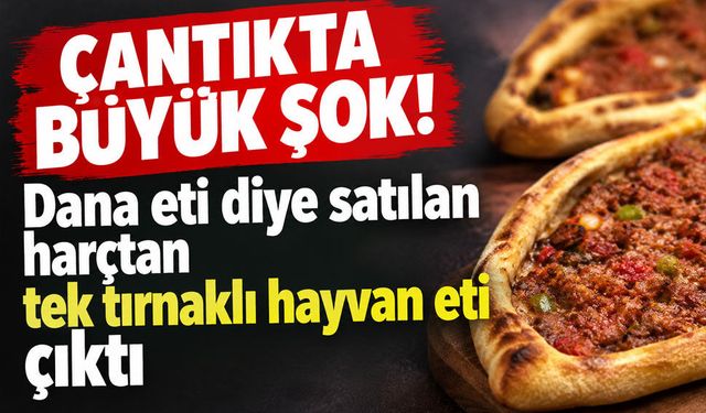 Bursa’da gıda skandalı! “Dana eti” denilen cantık harcında yasaklı et tespit edildi