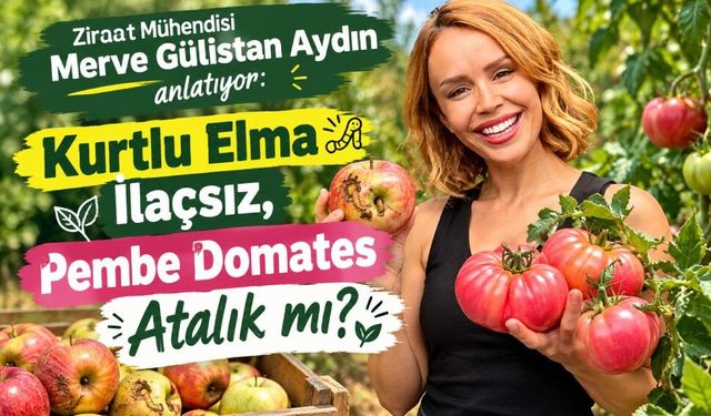 Merve Gülistan Aydın anlatıyor: Kurtlu elma ilaçsız, pembe domates atalık mı?