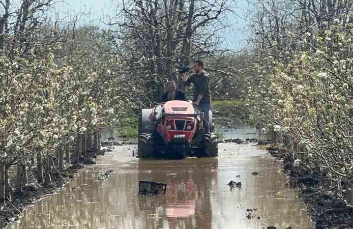 Bursa'da yüzlerce dönüm şeftali ve armut bahçesi su altında
