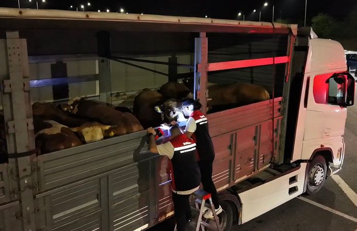 Kurban Bayramı öncesi İstanbul'da sevk noktalarında yoğun mesai