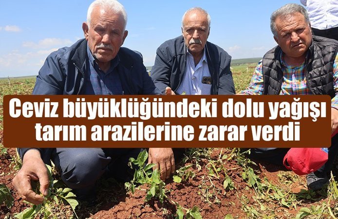 Ceviz büyüklüğündeki dolu Amik Ovası’nı vurdu