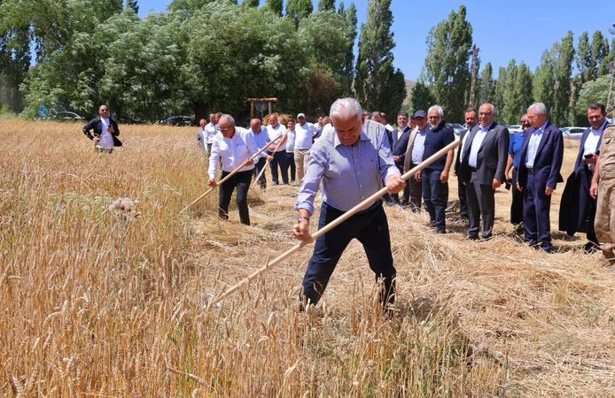 Binali Yıldırım Harman Şenliği'nde tırpan salladı