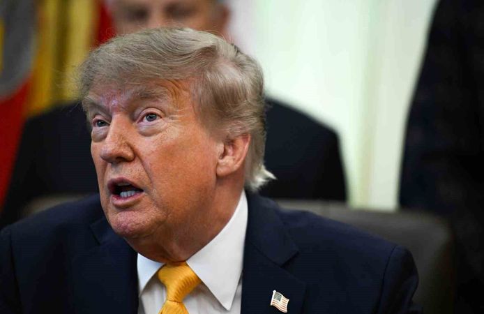 Trump'tan Almanya'daki aşırı sağcı AfD'ye övgü