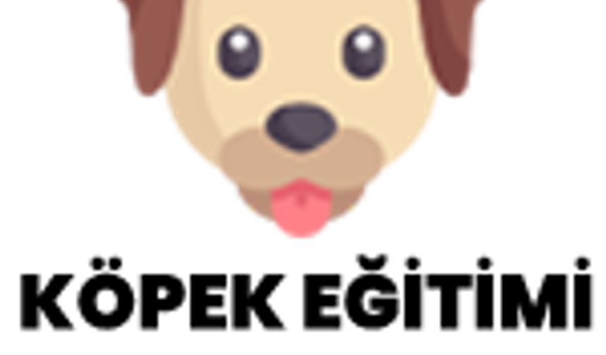 Köpek Eğitimi