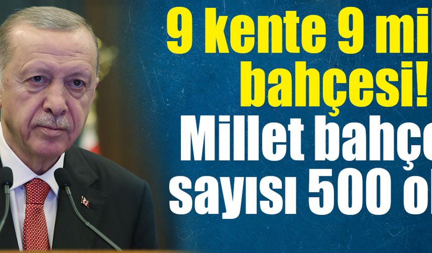 9 kente 9 millet bahçesi! Millet bahçesi sayısı 500 oldu