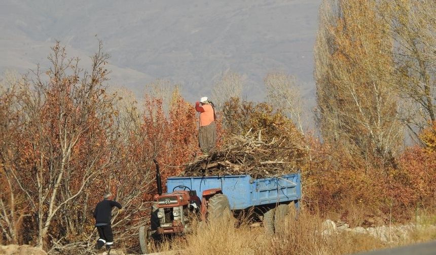 Köylerde kışlık odun hazırlığı başladı