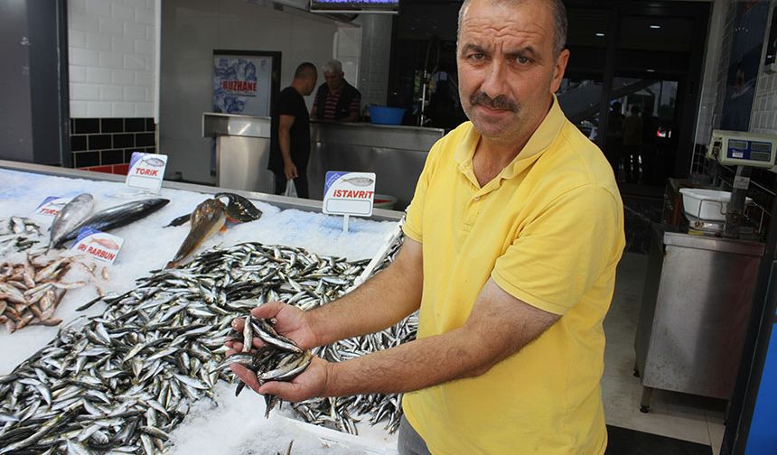 Ordulu balıkçılar hamsiden umutlu