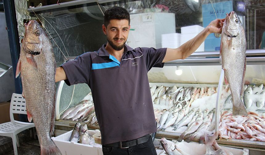 Akdeniz'de de sezonun açılmasıyla tezgahlar balıkla doldu