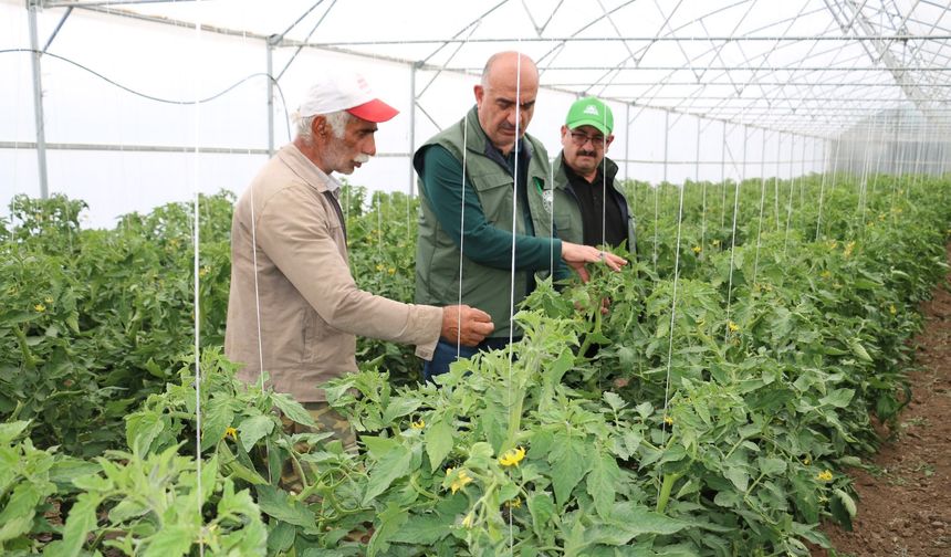 Erzincan son yıllarda yapılan yatırımların meyvelerini toplamaya başladı