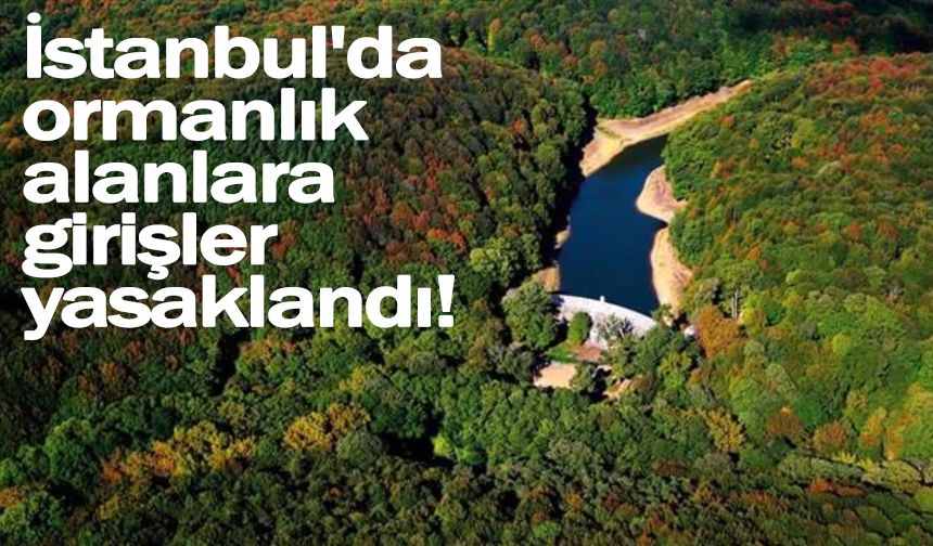 Valilik açıkladı: İstanbul'da ormanlık alanlara girişler yasak!