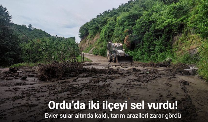 Ordu’da iki ilçeyi sel vurdu: Evler sular altında kaldı, tarım arazileri zarar gördü