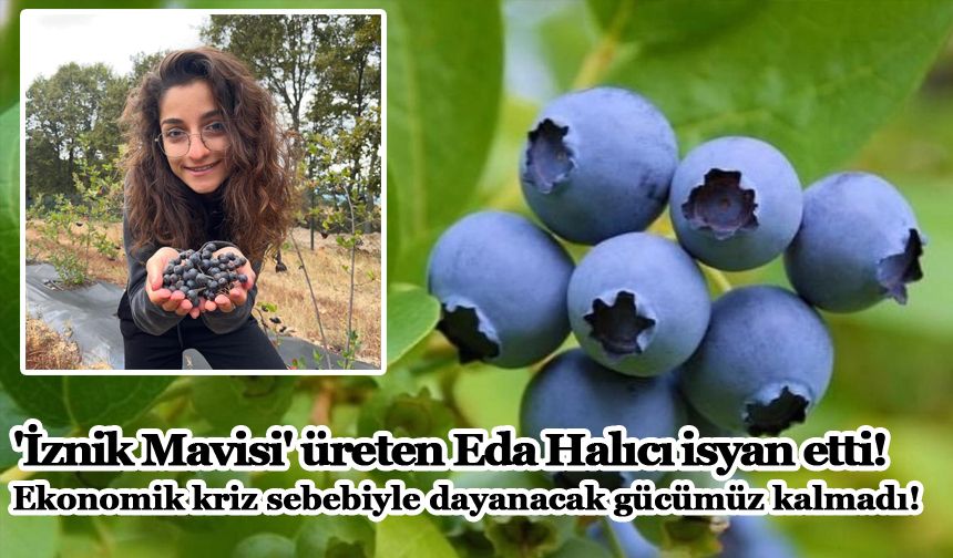 'İznik Mavisi' üreten Eda Halıcı isyan etti! Ekonomik kriz sebebiyle dayanacak gücümüz kalmadı!